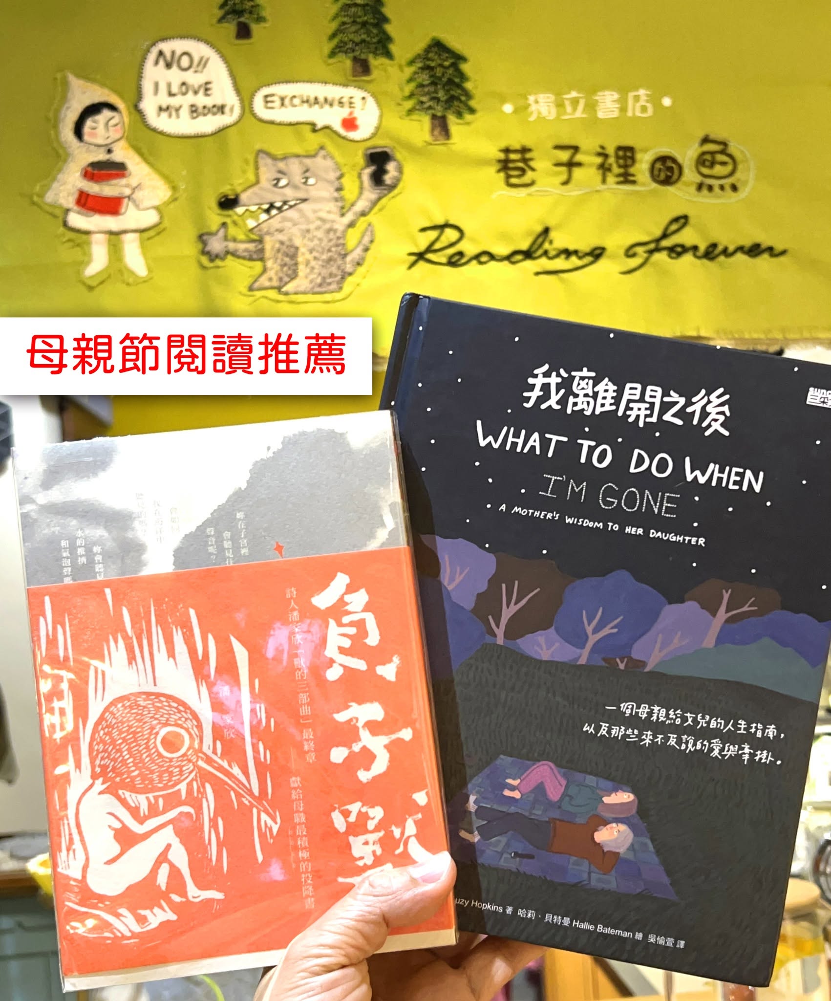 巷子裡的魚 - 母親節閱讀推薦 📕📗